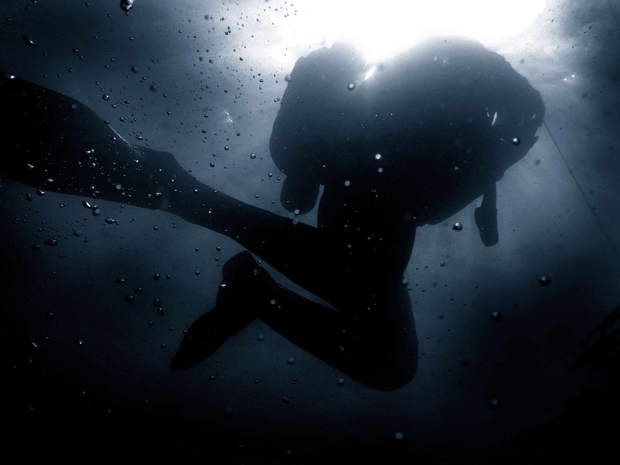 Royal Navy diver
