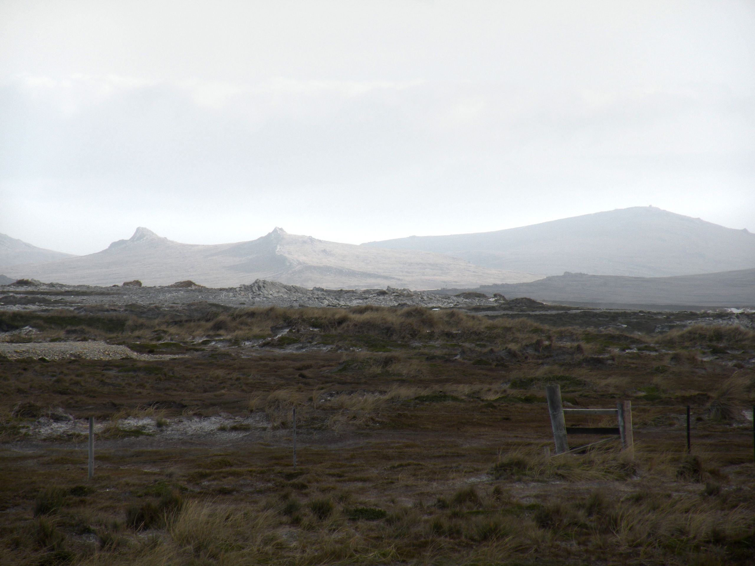 Falkland Islands